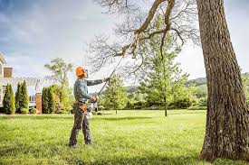 Reliable North Key Largo, FL  Tree Services Solutions